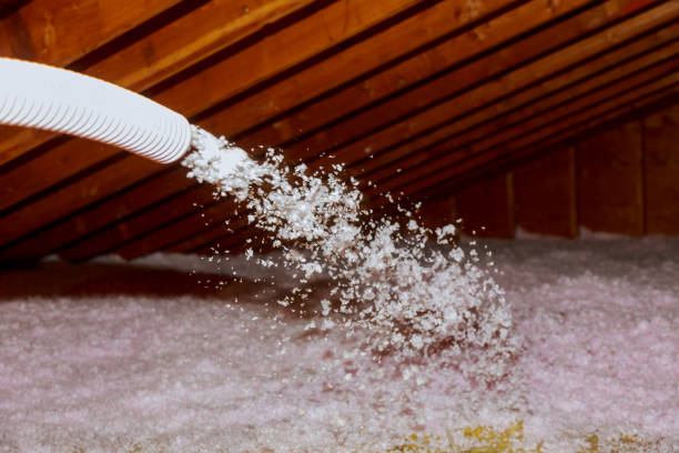 Best Cellulose Insulation in Stockton, KS