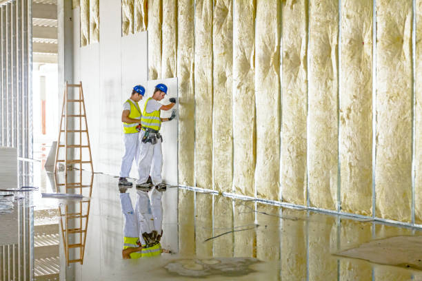 Best Geographic-Specific Insulation Services in Stockton, KS